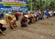 Rayakan HUT ke-80, TNI AL Tebar 10 Ribu Benih Ikan dan Tanam Kedelai di Pariaman