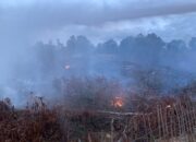 Perkembangan Situasi dan Penanganan Bencana di Indonesia pada 1 September 2025