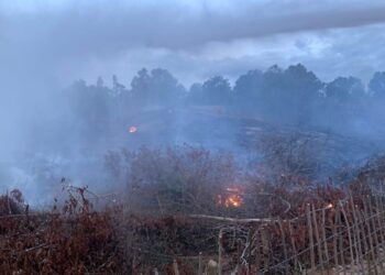 Perkembangan Situasi dan Penanganan Bencana di Indonesia pada 1 September 2025