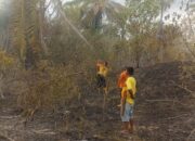 Perkembangan Situasi dan Penanganan Bencana di Indonesia pada 4 September 2025