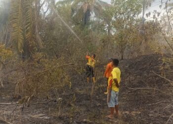 Perkembangan Situasi dan Penanganan Bencana di Indonesia pada 4 September 2025