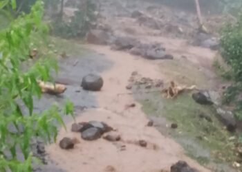 Ketika Tukad Meluap, Kepedulian Mengalir: Bali Mulai Pulih