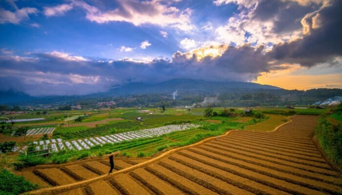Warga Pandai Sikek Tolak Rencana Kehadiran Geothermal Tandikek–Singgalang.