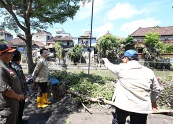 Presiden Republik Indonesia Didampingi Kepala BNPB, Tinjau Lokasi Terdampak Banjir Denpasar