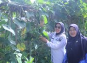 Tinjau Potensi Perkebunan Kopi, Wabup Dharmasraya Kunker ke Solok Selatan