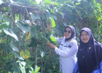 Tinjau Potensi Perkebunan Kopi, Wabup Dharmasraya Kunker ke Solok Selatan