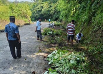 Jalan Alternatif Disulap Jadi Bersih, Warga Ampalu, Nagari Lareh Nan Panjang Kompak Gelar Goro