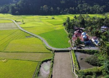 Program SPM di Agam Tunjukkan Hasil Positif