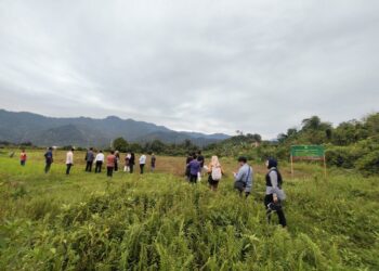 Skandal Mafia Tanah, PTUN Gelar Pemeriksaan Lahan 7,8 Hektar di Sungai Sapiah Kuranji