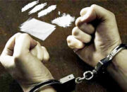 Geger di Padang! Pria 61 Tahun Ditangkap Edarkan Sabu dan Ganja