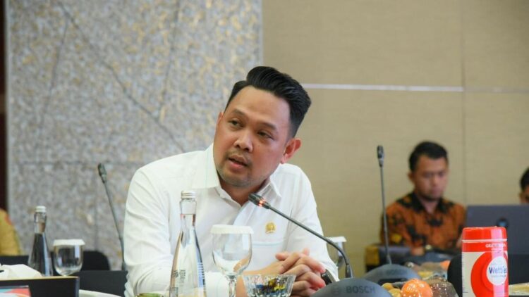 Anggota Komisi VI DPR RI Rivqy Abdul Halim. IST