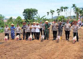 Kapolda Sumbar Tanam Jagung Kuartal IV 2025
