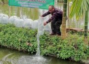 BUMNag Durti Saiyo Tebar 25.000 Ekor Ikan Nila 