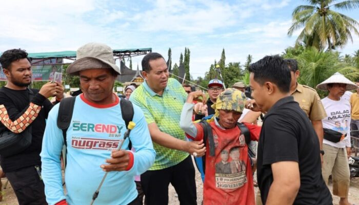 Pengendalian Hama Wereng di Desa Sungai Pasak Pariaman Patut jadi Contoh