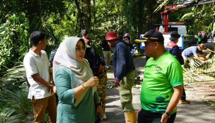Pemko Ajak Masyarakat Meriahkan Padang Panjang Goro