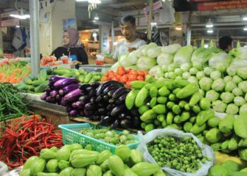Harga Cabai Merah di Padang Panjang Masih Bertahan Rp95.000 per Kg