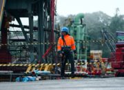 Harapan Baru Itu Bernama Ekonomi Hijau