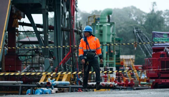 Harapan Baru Itu Bernama Ekonomi Hijau