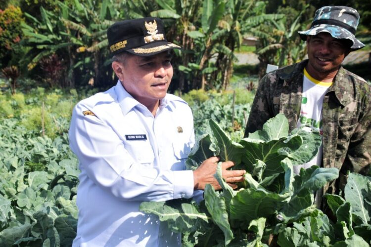 Bupati Agam, Benni Warlis