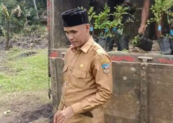 Nagari Tabek Terima Bantuan Bibit dari Dinas Kehutanan Sumbar