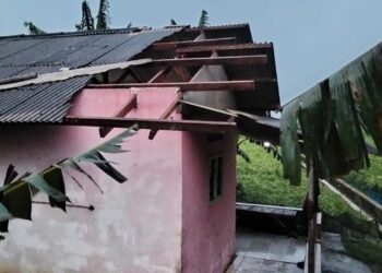 Perkembangan Situasi dan Penanganan Bencana di Tanah Air Tanggal 24 Oktober 2025