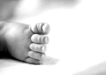 Geger… Warga Temukan Potongan Tubuh Bayi di Bukik Cangang