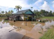Perkembangan Situasi dan Penanganan Bencana di Indonesia pada 25 Oktober 2025