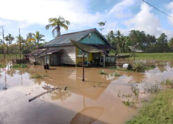 Perkembangan Situasi dan Penanganan Bencana di Indonesia pada 25 Oktober 2025