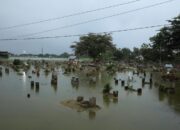 Membangun Ketangguhan dari Ketitang Wetan: Upaya BNPB Tangani Dampak Risiko Banjir di Pati