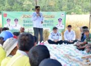 Panen SPM di Kamang Hilia, Ubinan Capai 8,64 Ton per Hektare