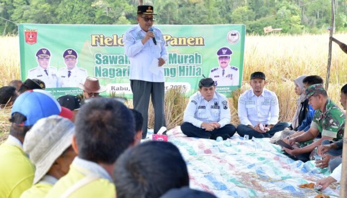 Panen SPM di Kamang Hilia, Ubinan Capai 8,64 Ton per Hektare