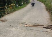 Hati-Hati… Jembatan di Jalan Sialang Gaung Berlubang