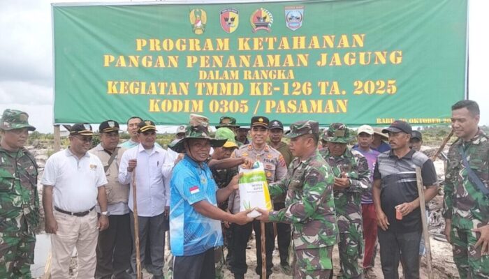 Personil TNI Tanam Jagung di Nagari Katiagan Mandiangin