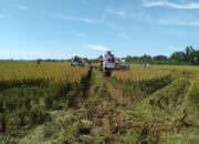 Wako Hendri Arnis Resmikan Gudang Pangan di Padang Panjang