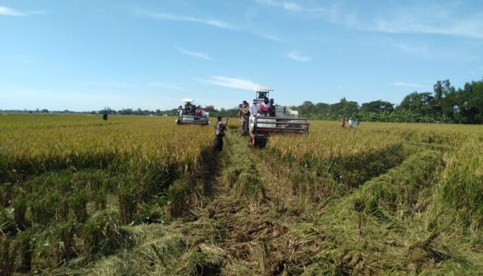 Wako Hendri Arnis Resmikan Gudang Pangan di Padang Panjang