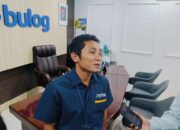 4.300 Ton Pasokan Tersedia, Bulog Sumbar Telah Salurkan 200 Ton Jagung bagi Peternak