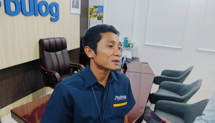 4.300 Ton Pasokan Tersedia, Bulog Sumbar Telah Salurkan 200 Ton Jagung bagi Peternak