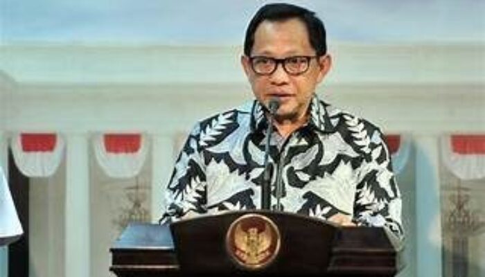 Mendagri Respons soal TKD Dipangkas