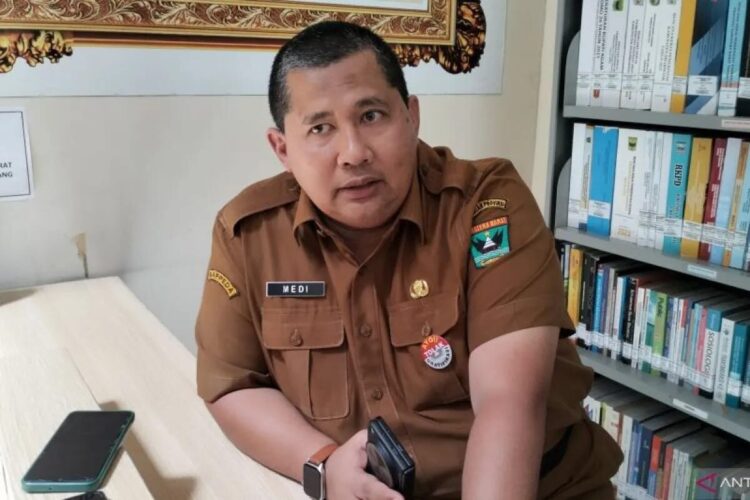 Medi Iswandi