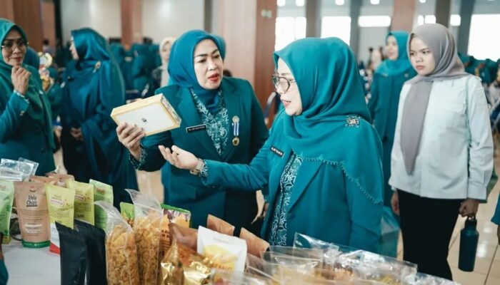 TP-PKK Solok Selatan Unjuk Prestasi pada Ajang Kader PKK  Berprestasi Sumatera Barat