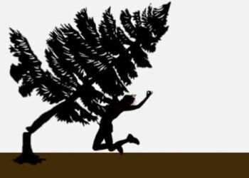 Perempuan di Padang Ganting Tewas Tertimpa Pohon Saat Bekerja di Kebun