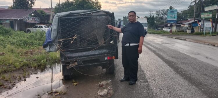 Dua ekor ternak jenis kerbau diduga hasil curian oleh pelaku ditunjukkan oleh Aiptu Dodi Italindo di TKP. BADRI