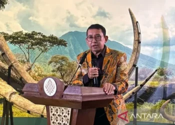 Menbud Proyeksikan Musik Digital Sumbang 231 Juta Dolar AS Tahun Ini