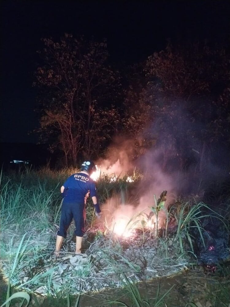 Petugas BPBD bersama TNI/POLRI dan relawan berhasil memadamkan kebakaran lahan tebu yang tidak terkontrol di Kecamatan Dawe, Kabupaten Kudus, Jawa Tengah sejak Selasa malam (14/10).
Sumber: BPBD Provinsi Jawa Tengah