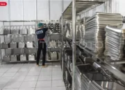 Prabowo Instruksikan SPPG Siapkan Dua Jenis Lauk Setiap Hari