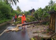 Perkembangan Situasi dan Penanganan Bencana di Tanah Air 7 Oktober 2025
