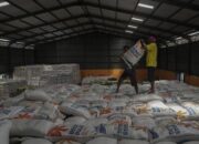 1,45 Juta Ton Beras Numpuk di Gudang Bulog, 29 Ribu Ton Turun Mutu