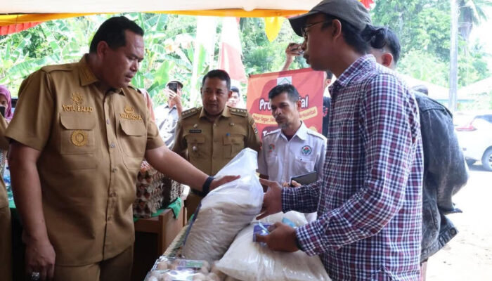 Lewat Oven Gabah Serbaguna, Desa Koto Marapak Dukung Ketahanan Pangan