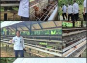 Dukung Ketahanan Pangan, Lapas Lubuk Basung Resmikan Usaha Peternakan Ayam Petelur