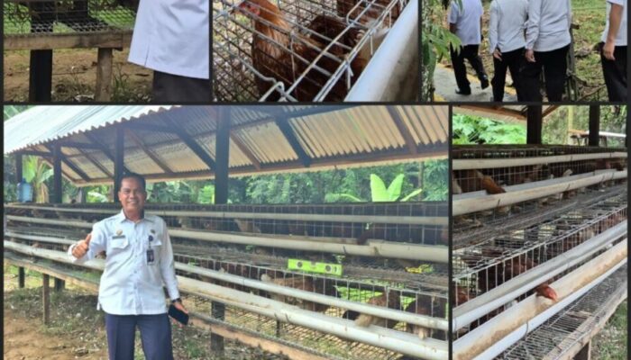 Dukung Ketahanan Pangan, Lapas Lubuk Basung Resmikan Usaha Peternakan Ayam Petelur